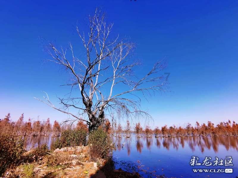 五十岁后,有这9个特征的人或更长寿