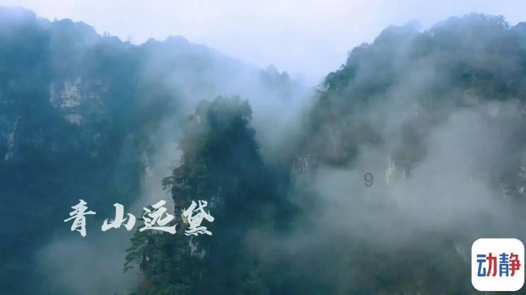 出差的浙江医生机场救人 他却遗憾“如果大家会这个就好了”