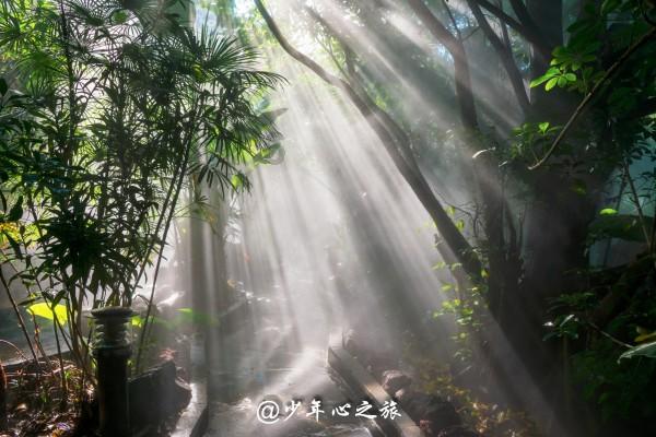 本以为是烂剧,结果首播好评不断,笑出腹肌,《金屋藏夫》凭什么