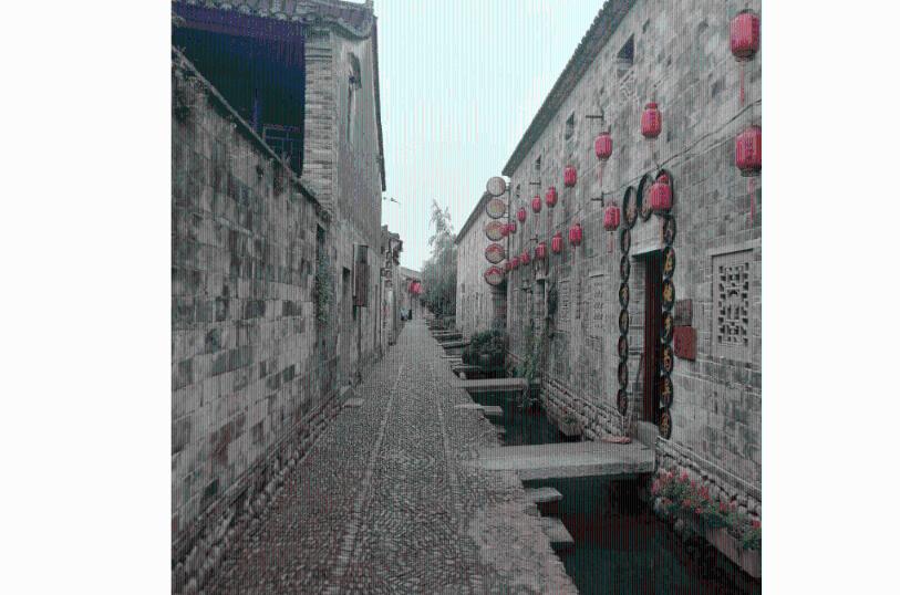 动物帮帮忙保卫家园